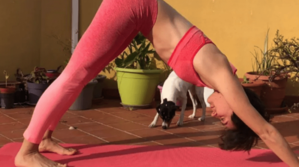 Fisioyoga Málaga